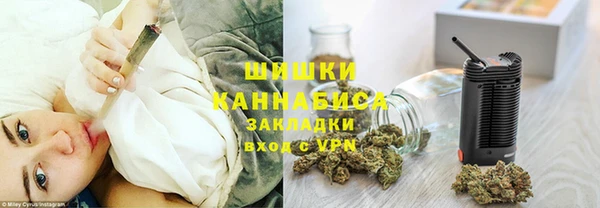 молекула духа Надым