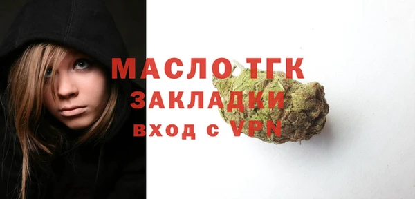 молекула духа Надым