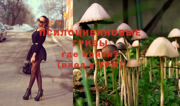 марки lsd Нея