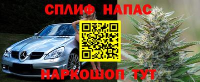 mdpv Заводоуковск