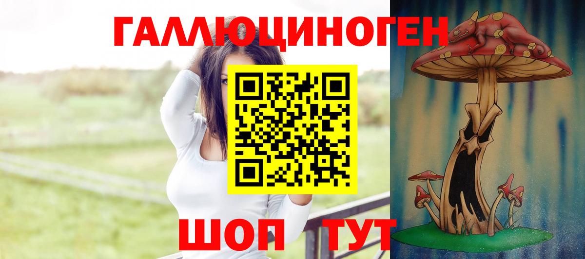 Псилоцибиновые грибы MAGIC MUSHROOMS  Вход с VPN  Кондопога 